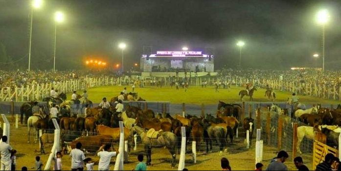 Derecho animal vs tradición