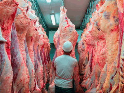 Importación de carnes de Brasil no preocupa a empresarios locales 