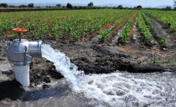 Ante la nevada histórica en la cordillera, viñateros le pidieron a Hidráulica que les liberen más agua: cuál fue la respuesta